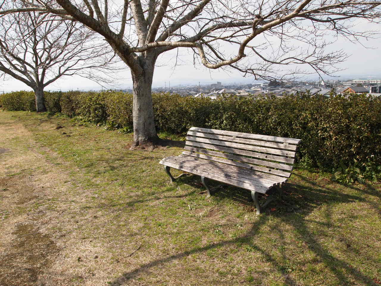 公園のベンチ